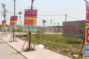 Cảnh rao bán đất nền lại diễn ra nhộn nhịp tại quận 9. Ảnh: Việt Dũng