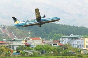 Việt Nam hiện mới có 3 hãng hàng không phục vụ vận chuyển du lịch (Trong ảnh: Hãng hàng không Vietnam Airlines)