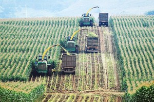 Với việc áp dụng công nghệ mới, chuyển dịch cây trồng trên vùng đất lúa…, dư địa tăng trưởng trong nông nghiệp còn rất lớn. Ảnh: Đức Thanh