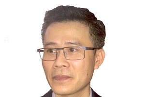 TS. Đỗ Thiên Anh Tuấn (Đại học Fulbright Việt Nam)