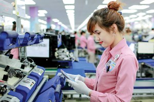 Dự cảm kinh tế Việt Nam 2019