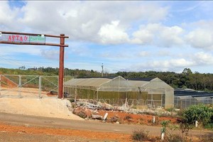 Chậm triển khai dự án nông nghiệp công nghệ cao ở Kon Tum