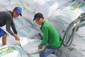 Nghị định 107/2018/NĐ-CP về kinh doanh xuất khẩu gạo không bắt doanh nghiệp phải sở hữu kho chứa, cơ sơ xay xát mới được xuất khẩu gạo. Ảnh: Đức Thanh