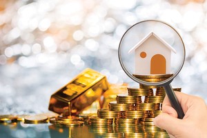 Ngồi trên khu đất vàng