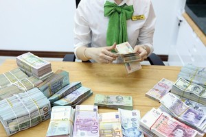 Trong năm 2018, nhiều đồng tiền trong khu vực giảm giá mạnh, song tỷ giá USD/VND vẫn khá ổn định. Ảnh: Đức Thanh