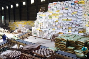 Xuất khẩu gạo đang được đề nghị loại bỏ khỏi danh mục ngành, nghề kinh doanh có điều kiện. Ảnh: Đức Thanh