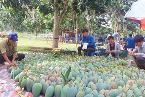 Xoài là một trong những loại nông sản mang lại giá trị xuất khẩu cao của Việt Nam.