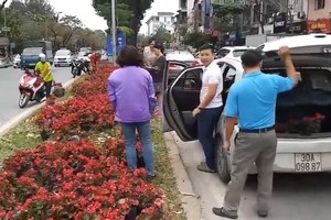 Hình ảnh xấu người dân dừng đỗ cả ô tô giữa đường để "hôi"... hoa trên phố Kim Mã sáng 6/3