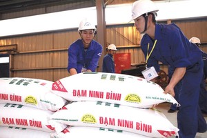 Nhà máy Đạm Ninh Bình hiện đang hoạt động được là do khách hàng ứng trước tiền. Ảnh: Đức Thanh
