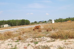 Gặp khó tại thị trường chính, các doanh nghiệp bất động sản TP.HCM chuyển hướng ra vùng ven. Ảnh: Trọng Tín