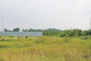 CEO DKRA Phạm Lâm: Thị trường bất động sản như đang bước vào mùa mưa