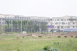 Bổ sung quy định về giá tính lệ phí trước bạ đối với đất