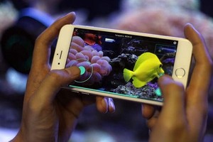 Robot lau bể kính và giúp bạn theo dõi cá cảnh 