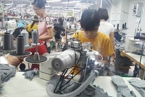 Với tốc độ tăng trưởng ở mức cao, Hoa Kỳ hiện đối tác xuất khẩu lớn của Việt Nam, chiếm tỷ trọng 20% trong tổng trị giá xuất khẩu.