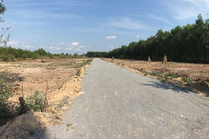 Tình trạng phân lô đất nền đang có chiều hướng gia tăng và phức tạp