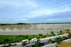 4 tháng đầu năm 2019 TP.HCM có 13.094 doanh nghiệp được cấp phép thành lập mới