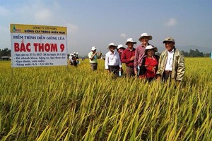 Việc doanh nghiệp thực hiện chính sách bán chịu tuy có tác dụng kích thích khách hàng mua hàng nhiều hơn, nhưng đi kèm với đó là rủi ro phát sinh nợ xấu.