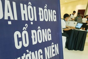 Tổ chức ĐHCĐ: Lỗi nhỏ, hậu quả có thể lớn