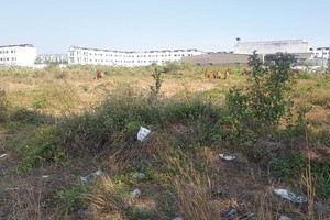 Dự án Khu dân cư 10 tại huyện Bến Lức được bán khi thị trường nóng sốt nhưng không có người ở. Ảnh: G.H