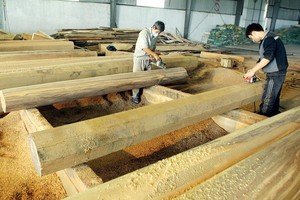 Doanh nghiệp ngành gỗ cần nâng cao ý thức tuân thủ pháp luật, không tiếp tay cho gian lận thương mại. Ảnh: Đ.T