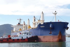 Sau khi kiện toàn bộ máy, Cảng Quy Nhơn đã đề ra các chỉ tiêu sản xuất - kinh doanh năm 2019 cao hơn nhiều so với những năm trước. Ảnh: A.M