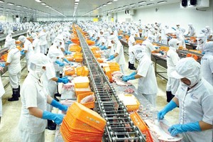 EVFTA với việc giảm thuế mặt hàng thủy sản về 0% được kỳ vọng giúp doanh thu xuất khẩu vào thị trường EU tăng mạnh trong thời gian tới. Ảnh: Đức Thanh