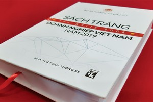 Sách trắng Doanh nghiệp 2019