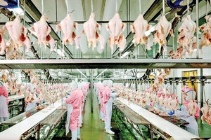 Các dây chuyền chế biến gia cầm hiện đại góp phần quan trọng giá tăng giá trị nông sản.