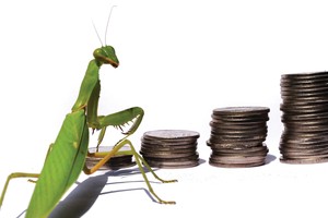 Hãy giao dịch như một thợ săn thực thụ