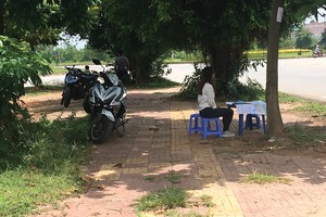 Dịch vụ môi giới diễn ra ngay tại dự án