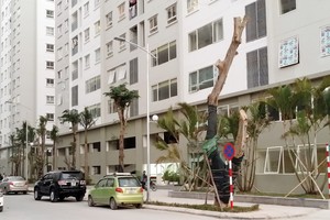 Nhà ở xanh giá rẻ, bài toán khó lại thêm biến số