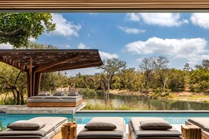 Cheetah Plains: Vẻ đẹp của sự đối lập