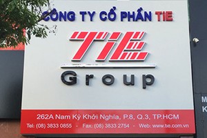 Cổ phiếu TIE chỉ mới rời sàn HoSE từ đầu tháng 8/2019