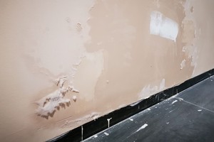 Và nấm mốc, lên rêu…