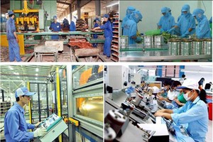 Các Hiệp hội doanh nghiệp cho rằng Bộ luật có phạm vi điều chỉnh lớn và ảnh hưởng sâu rộng tới môi trường kinh doanh tại Việt Nam cũng như quá trình hội nhập kinh tế của Việt Nam đối với thế giới.