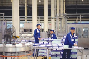 TH true Milk ghi nhận mức tăng trưởng khá ngoạn mục trong thời gian gần đây. Ảnh: Đức Thanh