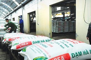 Đạm Hà Bắc trong vòng xoáy nợ nần.