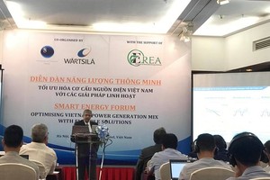 Đầu tư cho năng lượng tái tạo là đường đi tất yếu của Việt Nam nhằm đảm bảo an ninh năng lượng trong tương lai.