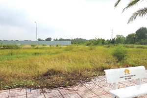 Sau gần 2 năm mở bán, Dự án Rio Grande (quận 9, TP.HCM) vẫn chỉ toàn cỏ mọc.