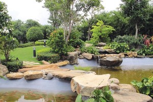 Hồ cá sử dụng nước thải sau khi xử lý tại nhà máy bia Heineken Việt Nam.