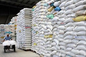 Xuất khẩu gạo “bốc hơi” 300 triệu USD.