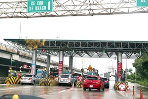 Ảnh minh họa (nguồn internet)