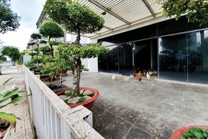 Nhà đầu tư mua nhà phố, biệt thự… để nuôi gà