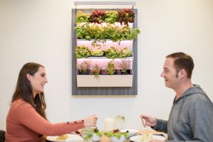 Herbitat - giúp bạn có vườn rau sạch trong nhà mà không cần dùng tới đất