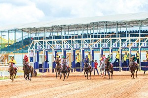 Ở phía Nam, mới có trường đua ngựa ở Bình Dương, nhưng dự án này chưa được phép kinh doanh đặt cược. Ảnh: Đại Nam