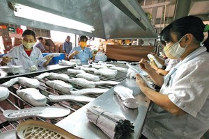 Việt Nam đang là điểm đầu tư của nhiều doanh nghiệp da giày nước ngoài. Ảnh: Đức Thanh