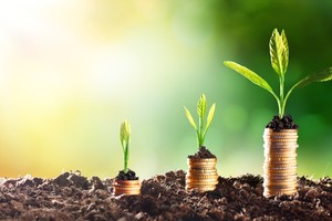 Tín dụng xanh cho tương lai vững bền: Kinh nghiệm và hỗ trợ của GIZ về thúc đẩy tín dụng xanh ở Việt Nam