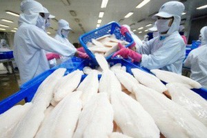 Với khoản lỗ lớn trong năm nay, lỗ luỹ kế của Hùng Vương đã tăng lên mức 892 tỷ đồng