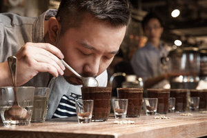 Sự phát triển của các cửa hàng cà phê nhỏ đã có ảnh hưởng mạnh mẽ trong việc thúc đẩy nhu cầu về cà phê đặc sản