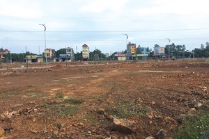 Nhiều dự án đất nền được doanh nghiệp phân lô bán cho khách khi chưa đủ điều kiện pháp lý